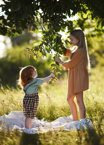 Porträt Eines Jungen Und Eines Mädchens Sommer — Stockfoto