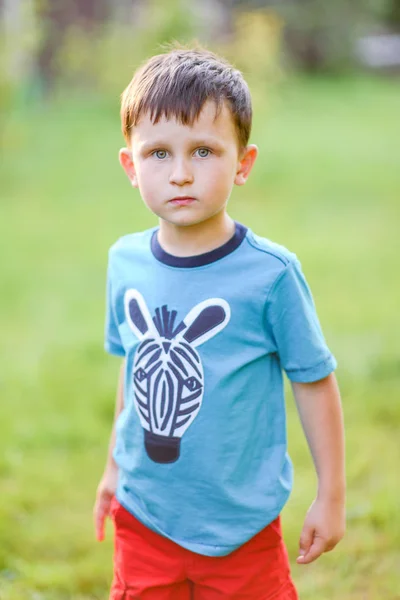 Portrait Boy Summer Outdoors — Stock Photo, Image