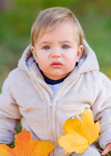 一个小女孩在秋天的肖像 — 图库照片