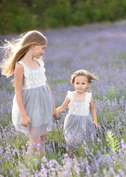 Retrato Duas Meninas Amigas Uma Natureza Verão — Fotografia de Stock