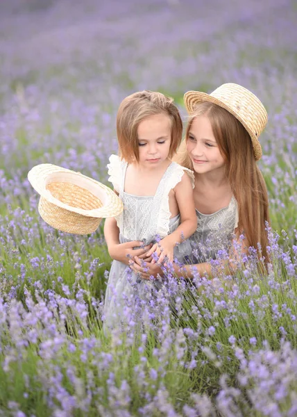 Portret Van Twee Meisjes Van Vriendinnen Een Zomer Aard — Stockfoto