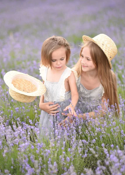 Ritratto Due Ragazze Fidanzate Una Natura Estiva — Foto Stock