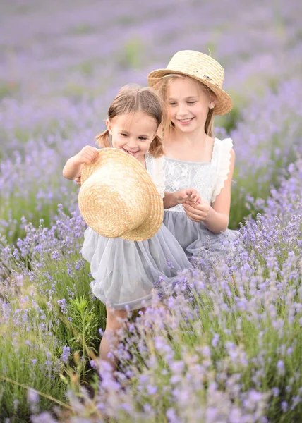 Πορτρέτο Των Δύο Κοριτσιών Της Φίλες Για Ένα Καλοκαίρι Φύση — Φωτογραφία Αρχείου
