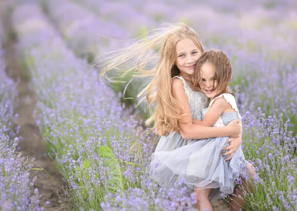 Két Lány Barátnője Egy Nyári Természet Portréja — Stock Fotó