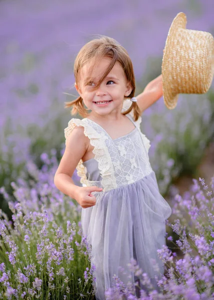 라벤더 자매의 초상화 — 스톡 사진