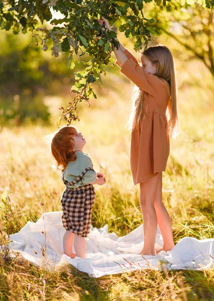 Porträt Eines Jungen Und Eines Mädchens Sommer — Stockfoto