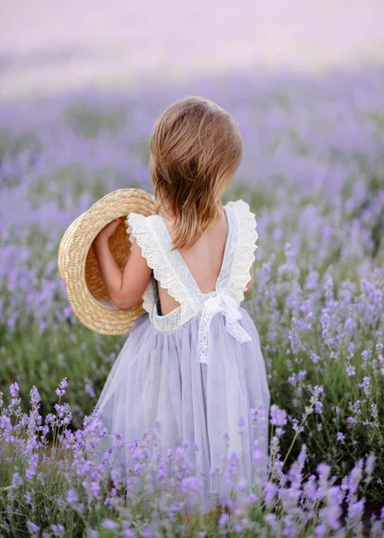 Portrait Little Girl Outdoors Summer — Stock Photo, Image