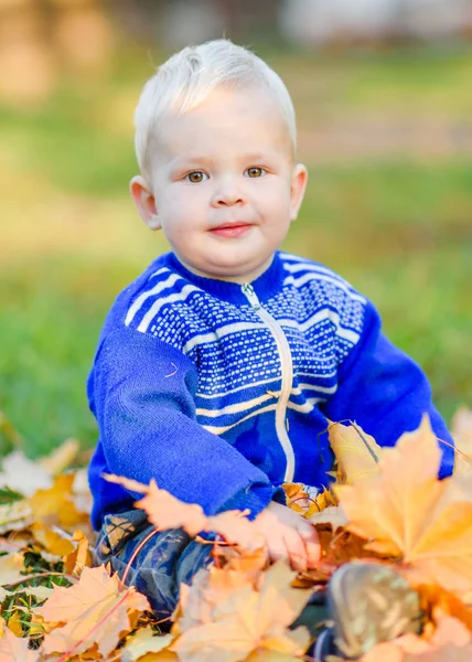 Portrait Little Boy Nature — Stock Photo, Image