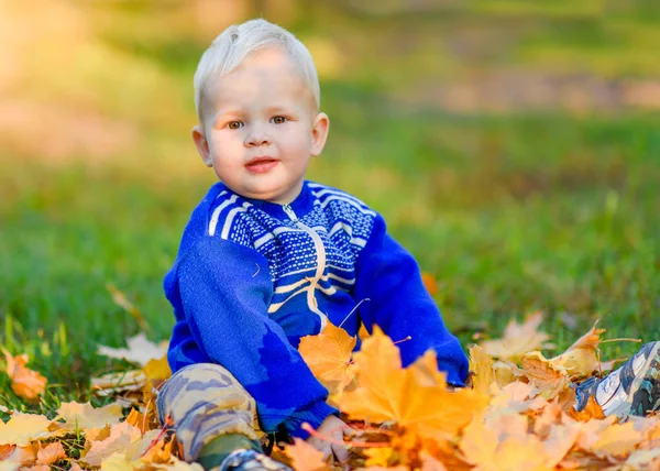 Portrait Little Boy Nature — Stock Photo, Image