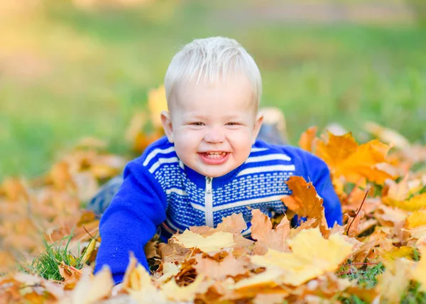 Portrait Little Boy Nature — Stock Photo, Image