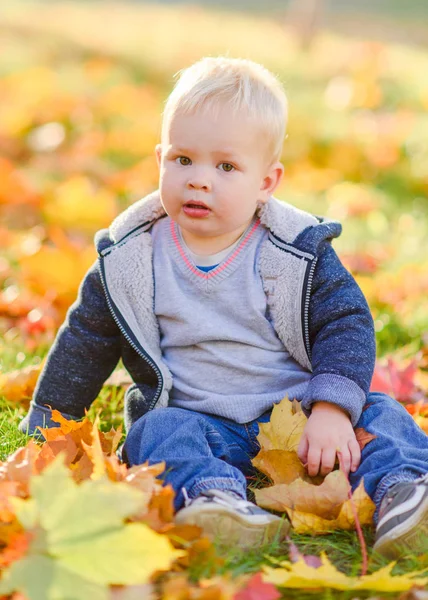 Porträtt Liten Pojke Naturen — Stockfoto