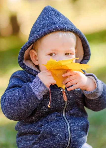 Portrait Little Boy Nature — Stock Photo, Image