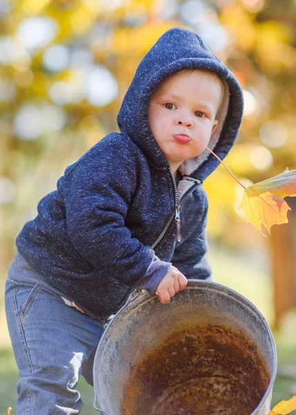 Portrait Little Boy Nature — Stock Photo, Image