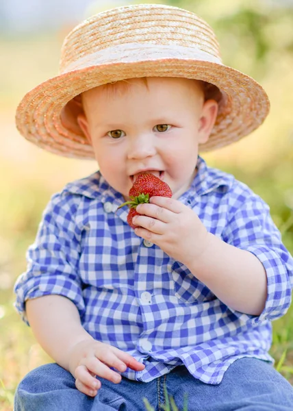 Portrait Little Boy Nature — Stock Photo, Image