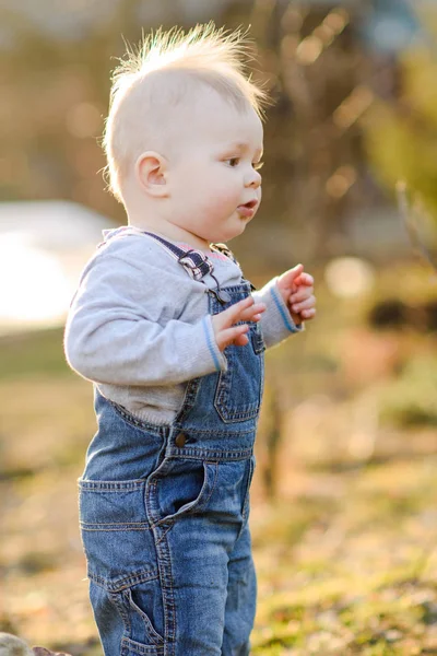 Porträtt Liten Pojke Spelar Sommar Natur — Stockfoto