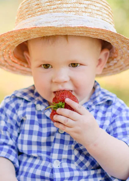 Portrait Little Boy Playing Summer Nature — Stock Photo, Image