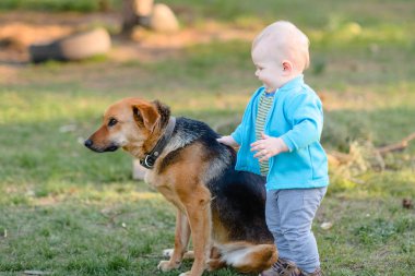 Yaz doğada oynayan küçük bir çocuk portresi