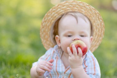 Yaz doğada oynayan küçük bir çocuk portresi