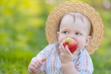 Yaz doğada oynayan küçük bir çocuk portresi