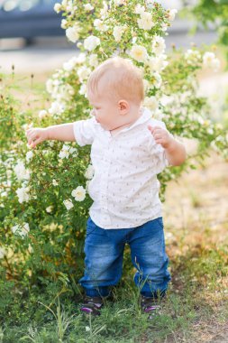 Yaz doğada oynayan küçük bir çocuk portresi