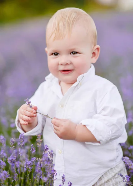 Porträt Eines Kleinen Jungen Der Der Sommerlichen Natur Spielt — Stockfoto