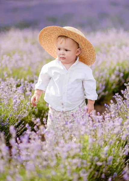 Portrait Petit Garçon Jouant Dans Nature Estivale — Photo