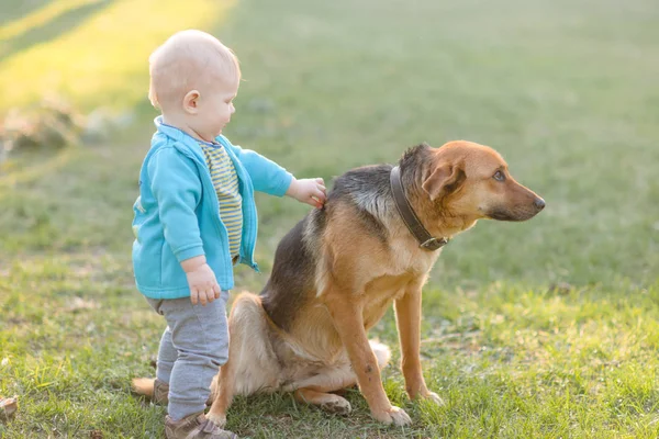 Porträt Eines Kleinen Jungen Der Der Sommerlichen Natur Spielt — Stockfoto