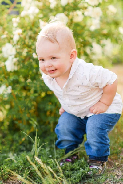 Porträt Eines Kleinen Jungen Der Der Sommerlichen Natur Spielt — Stockfoto