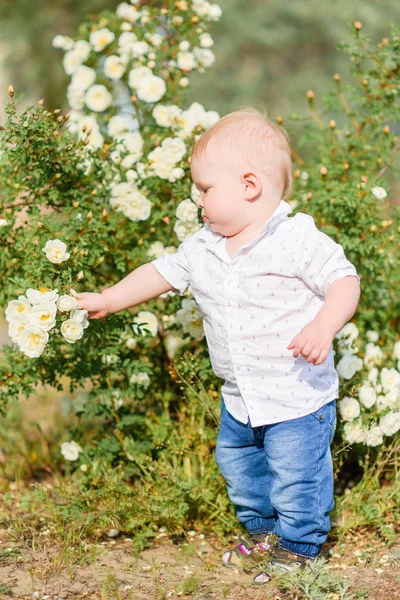 Porträt Eines Kleinen Jungen Der Der Sommerlichen Natur Spielt — Stockfoto