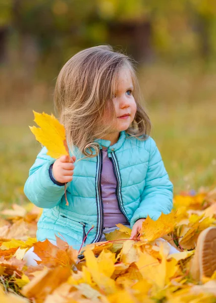 Portrait Une Petite Fille Automne — Photo