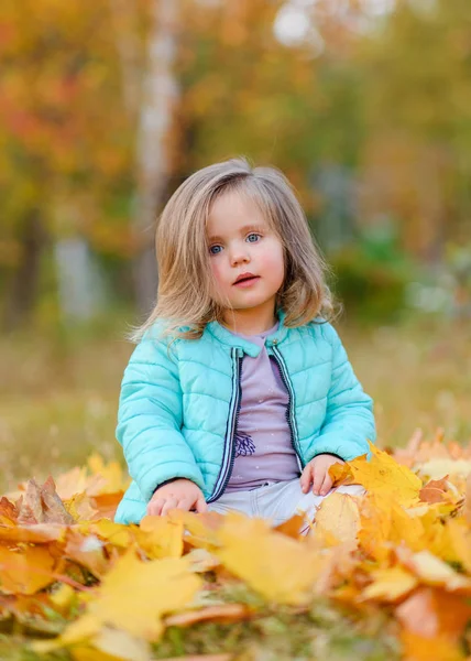 Ritratto Una Bambina Autunno — Foto Stock