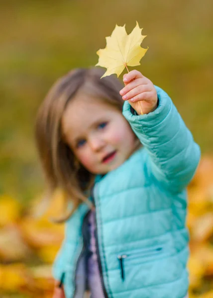 一个小女孩在秋天的肖像 — 图库照片