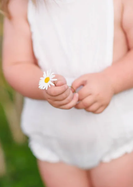 Portrait Little Girl Outdoors Summer — Stock Photo, Image