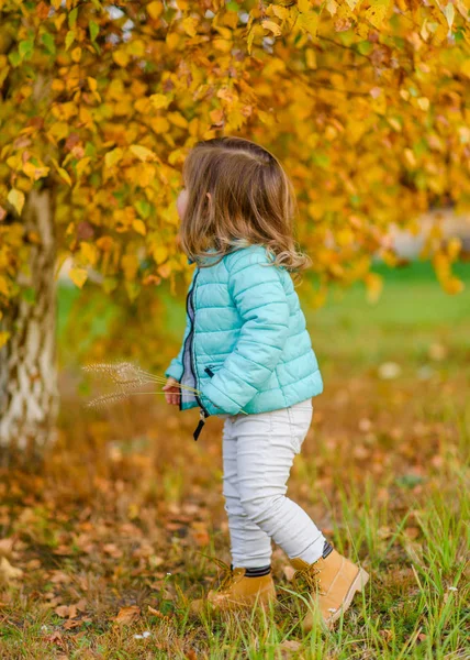 Portrait Little Girl Autumn — Stock Photo, Image