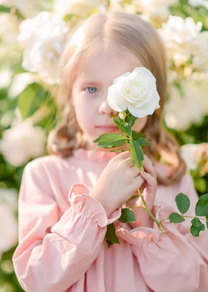 Porträt Eines Kleinen Mädchens Sommer — Stockfoto