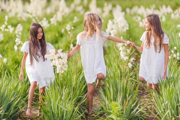 Retrato Três Meninas Namoradas Natureza — Fotografia de Stock