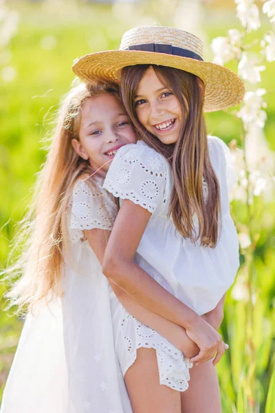 Portret Van Twee Meisjes Van Vriendinnen Een Zomer Aard — Stockfoto