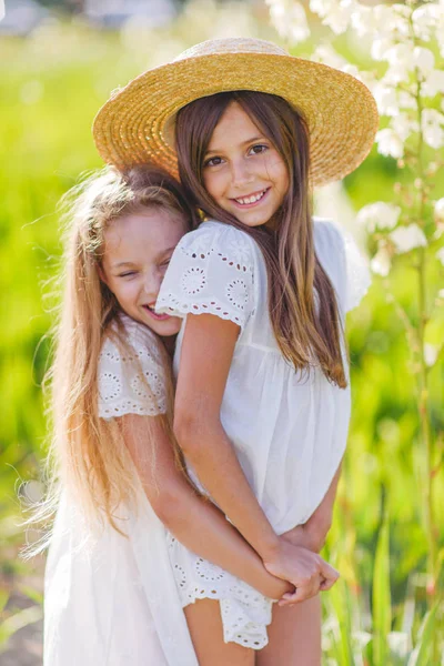 Πορτρέτο Των Δύο Κοριτσιών Της Φίλες Για Ένα Καλοκαίρι Φύση — Φωτογραφία Αρχείου