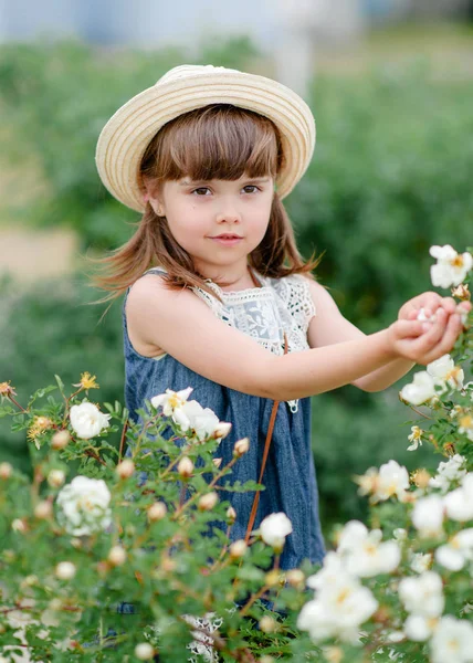 Portrait Little Girl Outdoors Summer — Stock Photo, Image