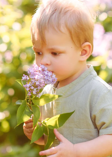 Portrait of little BOY outdoors in summer — Stock Photo, Image