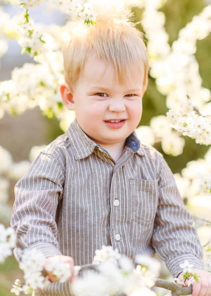 Portrait of little BOY outdoors in summer — Stock Photo, Image