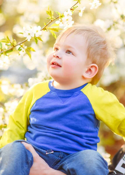 Portrait of little BOY outdoors in summer — Stock Photo, Image