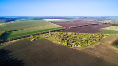 Tarım ekinleri ekilen tarlaların üzerinde uçuyorlar.