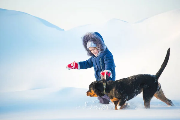 Felice Attiva Bambina Sana Corre Con Suo Cane Allegro Rottweiler — Foto Stock