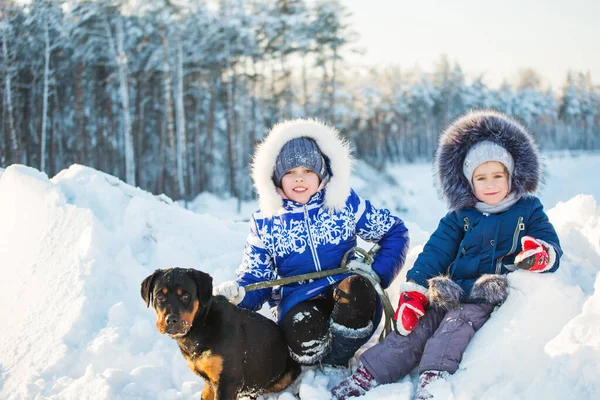 Deux Charmantes Sœurs Positives Reposent Campagne Sur Une Dérive Neige — Photo