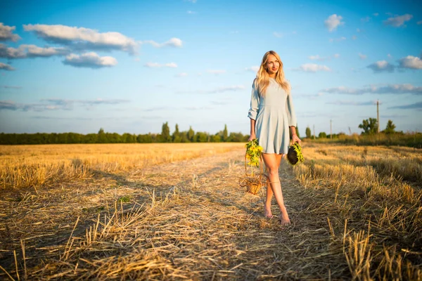 Charming Young Caucasian Woman Blue Dress Walks Field Mowed Wheat — Stock Photo, Image
