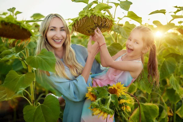 Sorrindo Encantadora Mãe Filha Escovar Girassol Grande Chegar Sementes Enquanto — Fotografia de Stock
