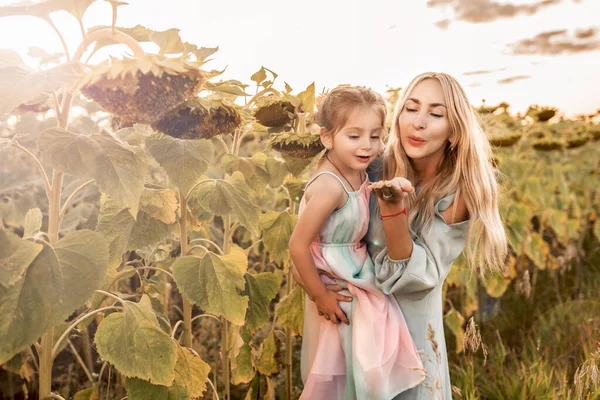 Charming pretty young mother holds a pretty daughter in her arms and blows a seed from her palm to plant it in the field among the thickets of sunflower. Nature Care Concept