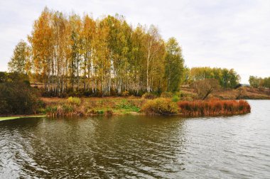 Güzel sonbahar manzarası sarı yapraklar