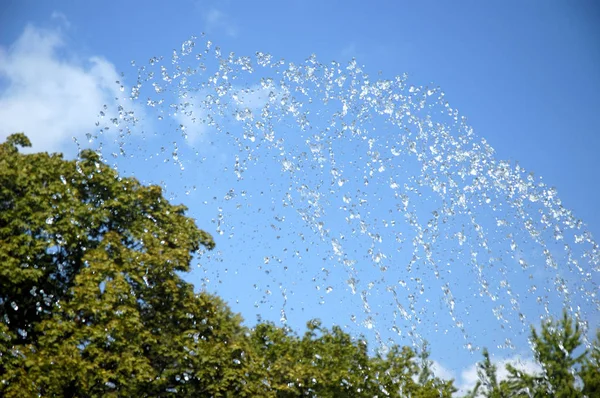 Blaue Wassertropfen auf grünen Bäumen Hintergrund — Stockfoto